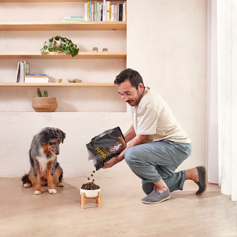 Exclusive Grain Free Dog Junior Fish